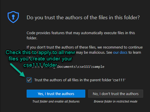 VSCode Trust Warning
